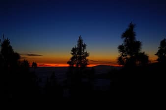 sunset, island, la palma, afterglow, sky, clouds, selva marine, tenerife, canary islands, trees, treetop