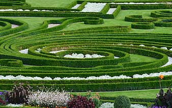 park-garden-garden-design-herrenhauser-gardens-hanover-gardening-applied-thumbnail.jpg