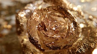 gold, macro, rose, close up, christmas, golden