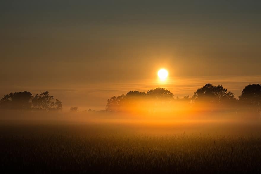 Sunrise Fog Landscape Morgenstimmung Nature Sun Mood Morning Sun