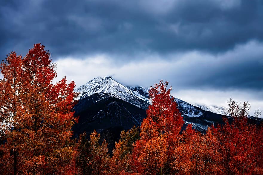 colorado, fall, autumn, colorful, foliage, mountains, landscape, valley ...