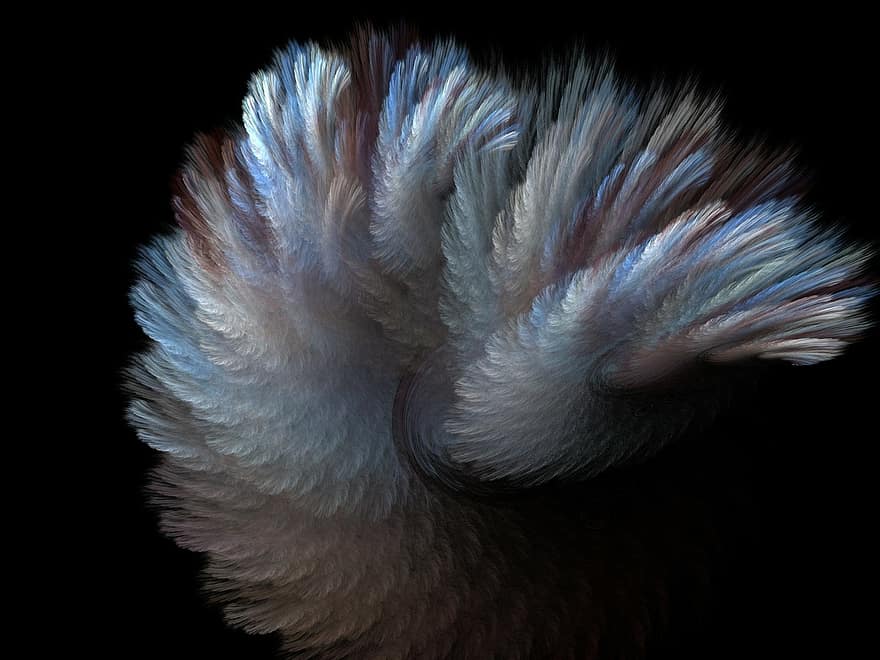 fur, fractal, grey, blue, curve, style, effect, feather, illusion ...