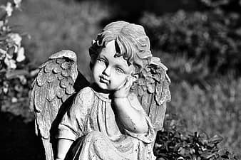 angel, sculpture, cemetery, statue, engelskopf, angel face, wing, stone ...