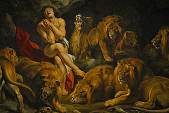 pintura, Daniel en el foso de los leones, peter paul rubens, Art º, color,  decoración, hembra, leones, animal | Pikist