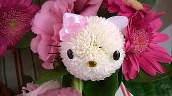 hello-kitty-no-ohanabatake-flower-wedding-bouquet-thumbnail.jpg